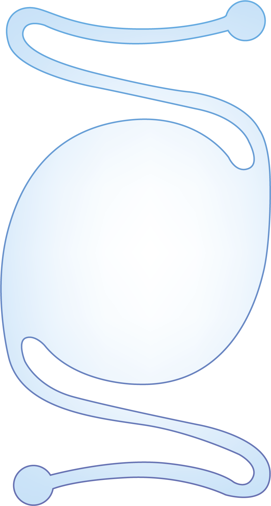 lens icon